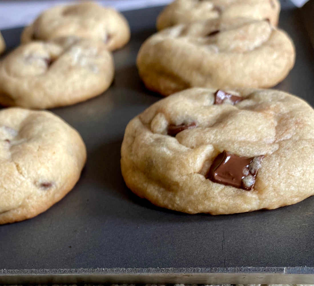 Homemade chocolate chip cookies fresh out of the oven