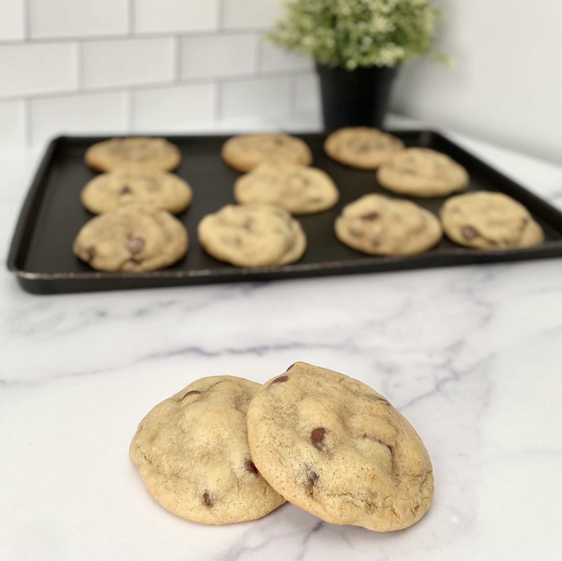 homemade chocolate chip cookie