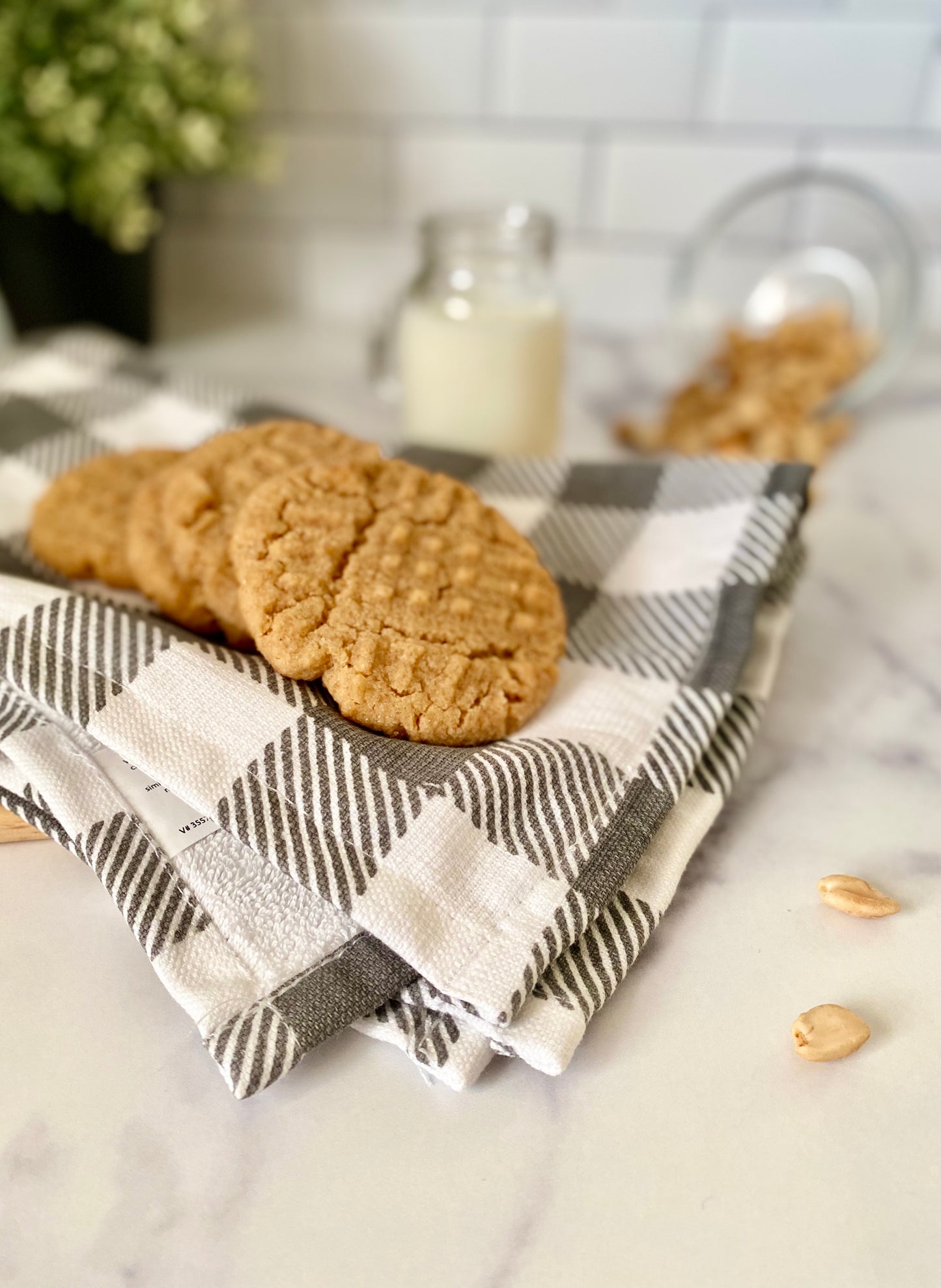 best peanut butter cookies in columbus oh