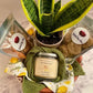 Custom gift basket tranquility and relaxation Ditch The Mix Columbus, Ohio